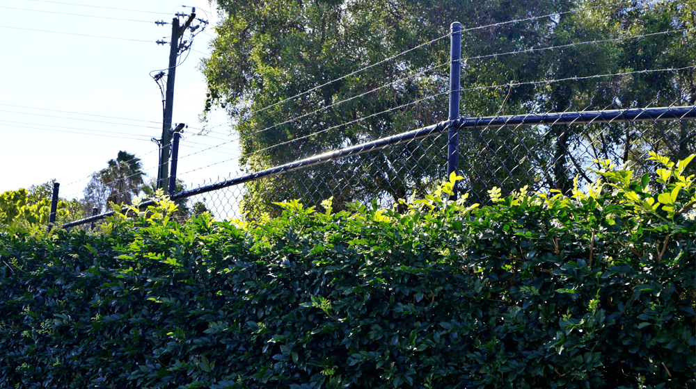 Chainwire Fence