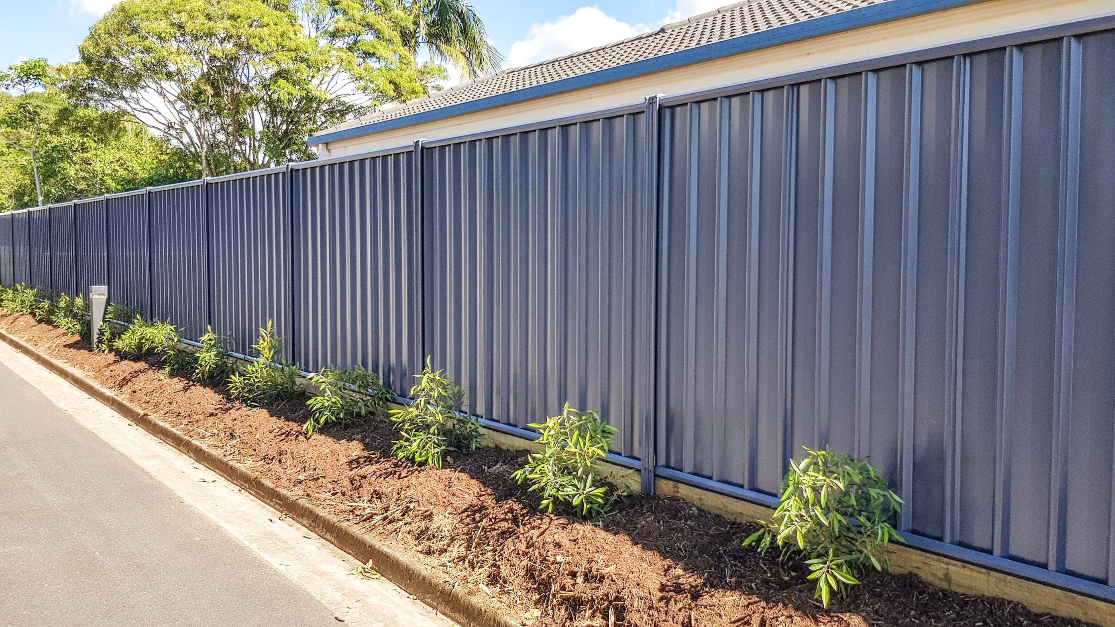 Colorbond Fence